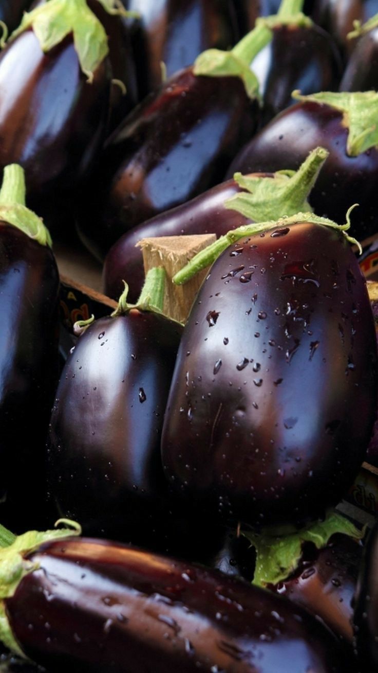 EGGPLANT