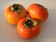 Persimmons