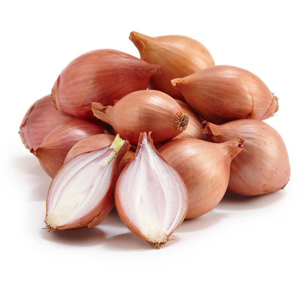 Cebolla shallot