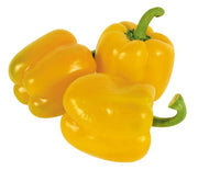 Chile campana Amarillo